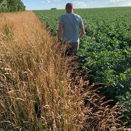 Pensjonat Chapeauveau - - Events